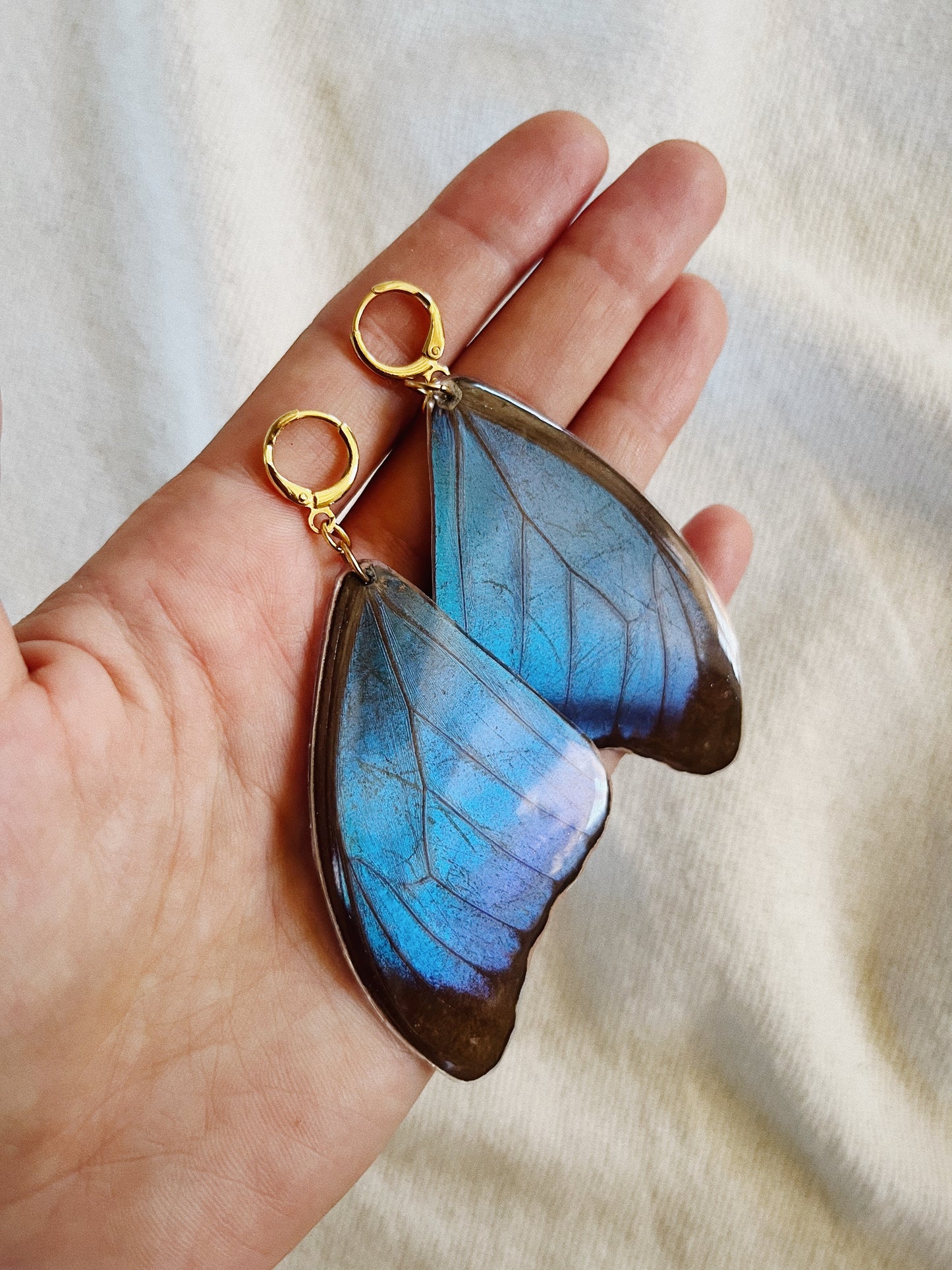Blue Morpho Earrings - Teardrop Wings