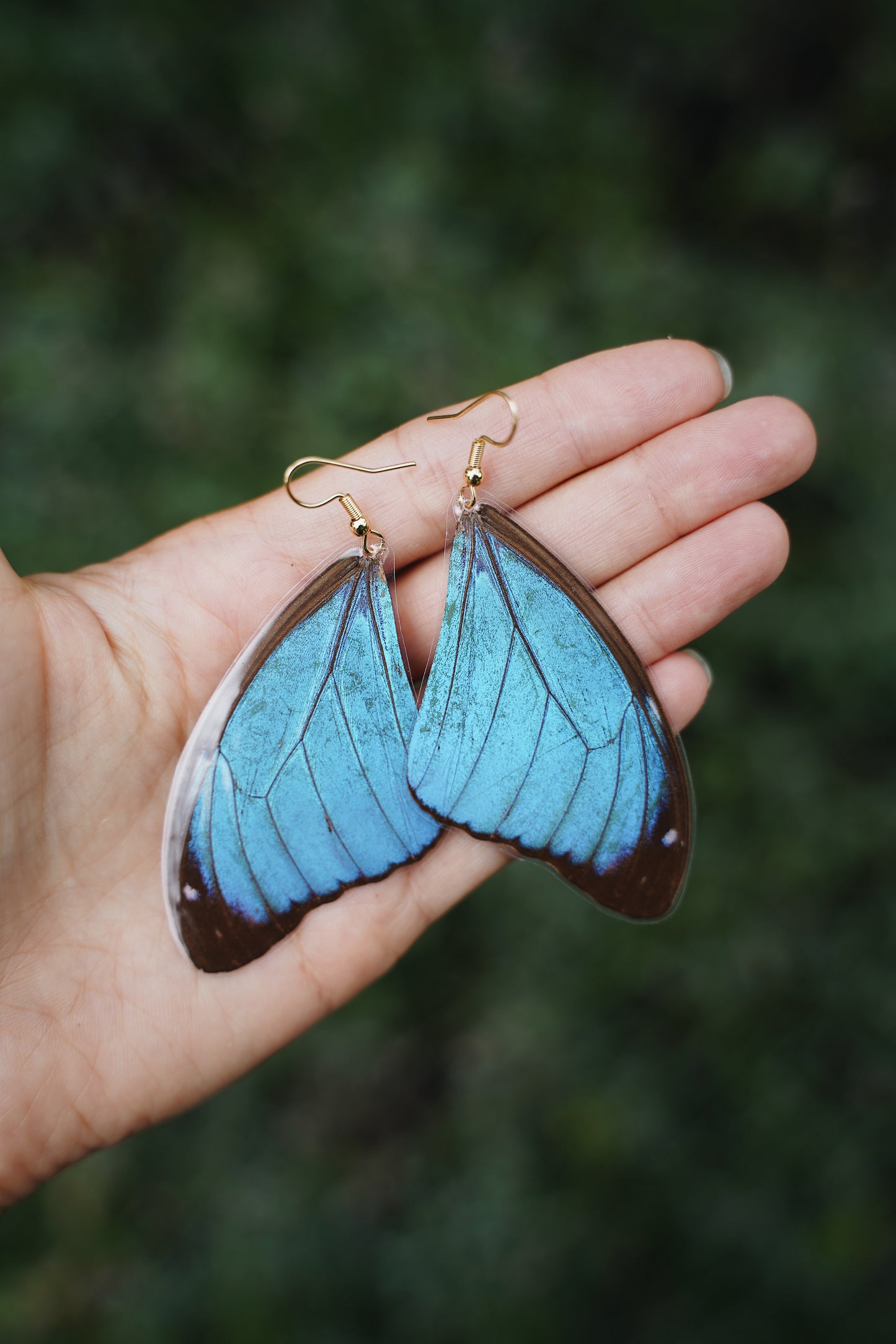 Blue Morpho Earrings - Teardrop Wings