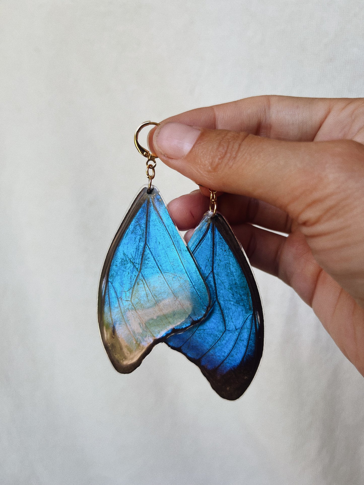 Blue Morpho Earrings - Teardrop Wings