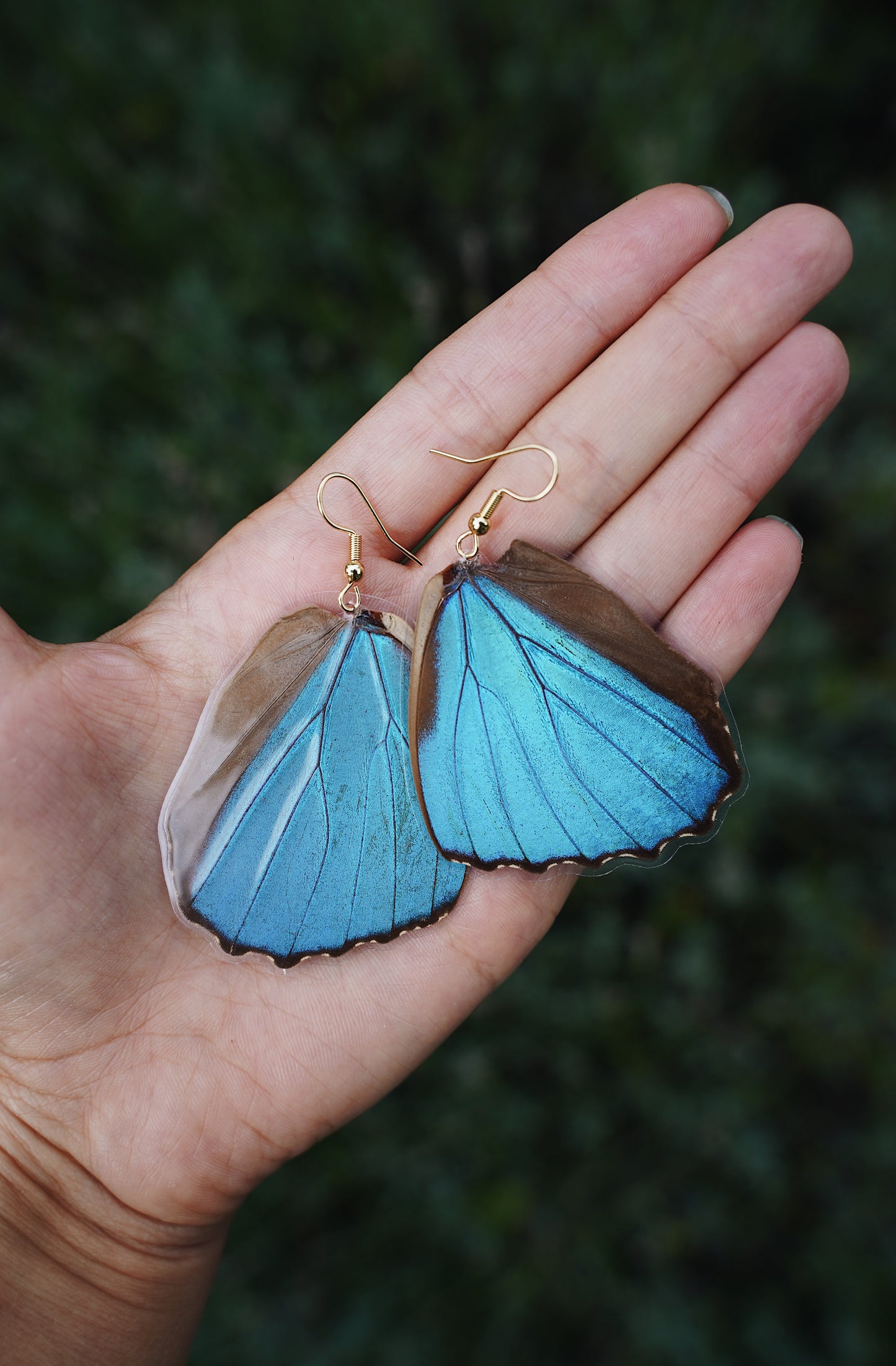 Blue Morpho Earring - Moonpetal Wings