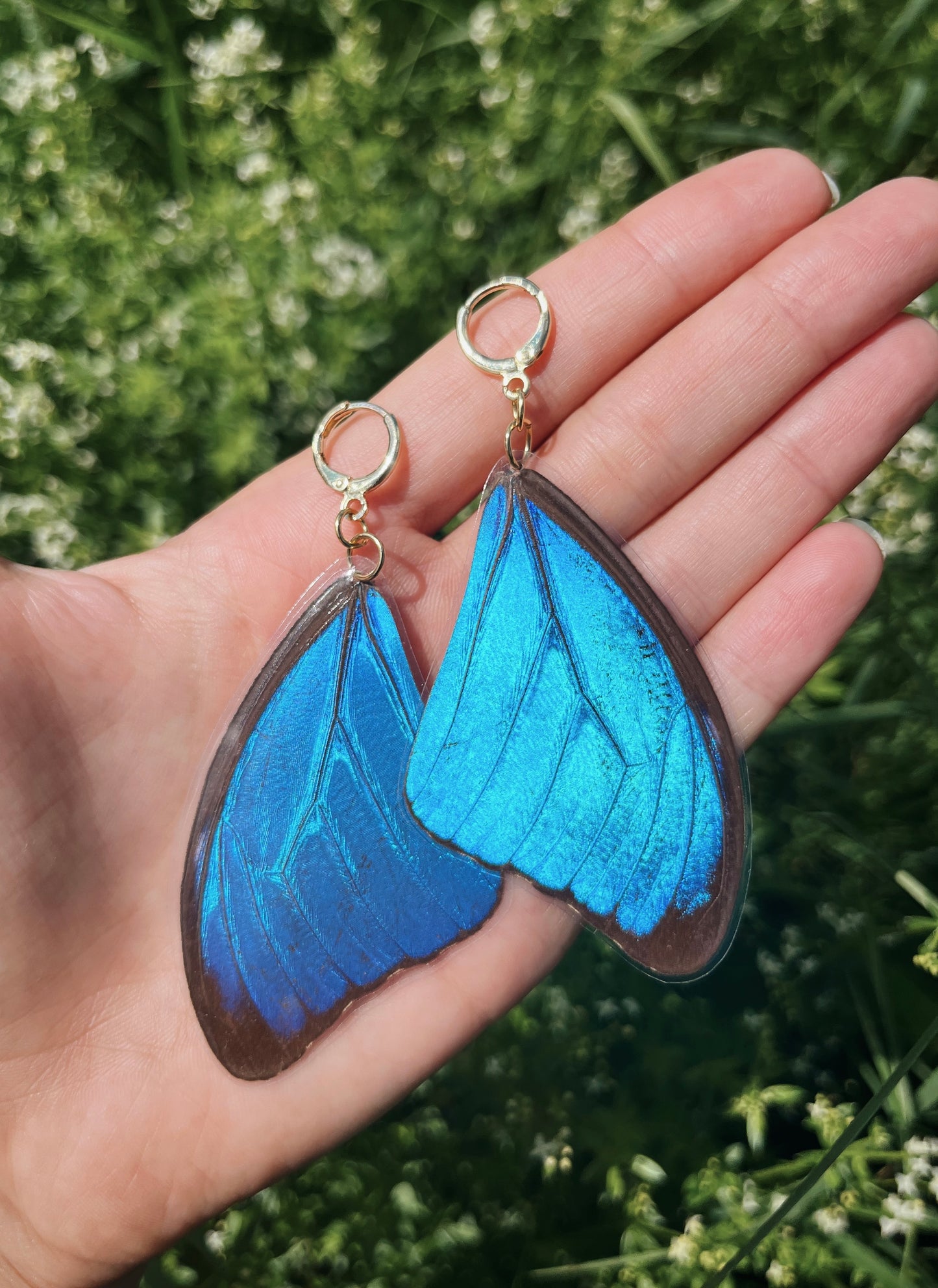 Blue Morpho Earrings - Teardrop Wings