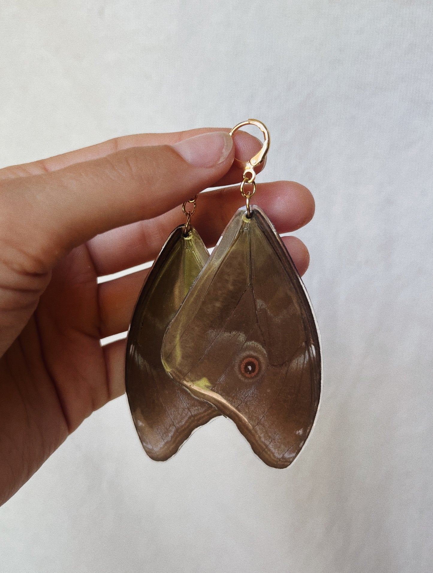 Blue Morpho Earrings - Teardrop Wings
