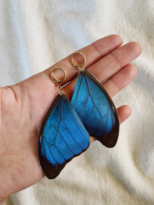 Blue Morpho Earrings - Teardrop Wings