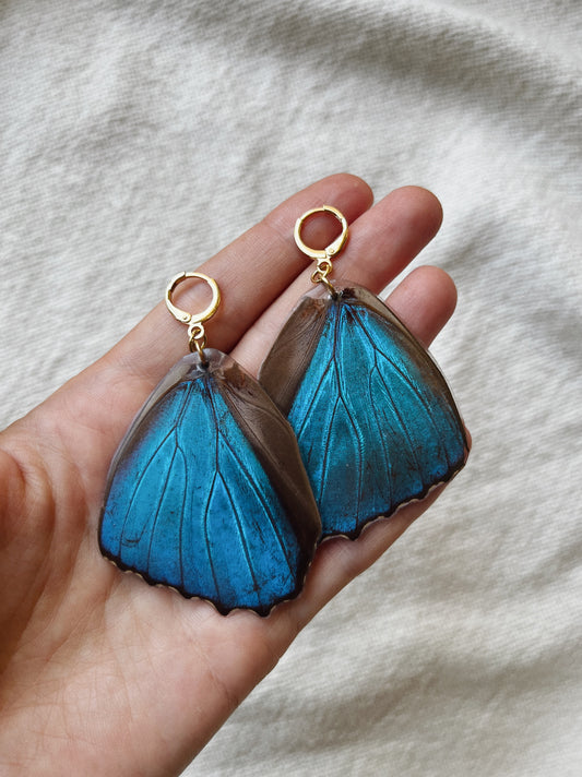 Blue Morpho Earring - Moonpetal Wings